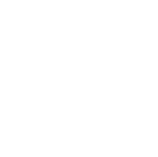 Congineer Group